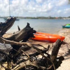 Pelican Sport Pulse 100X With Paddle Kayak 23 Pelican Sport Pulse 100X With Paddle Kayak -Pelican Sport Shop KOS10P102 00 LS4